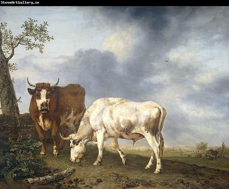 Jan Kobell Oxen in the meadow